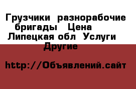 Грузчики, разнорабочие, бригады › Цена ­ 250 - Липецкая обл. Услуги » Другие   